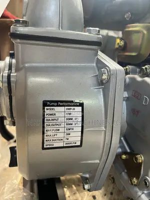 Diesel Water Pump