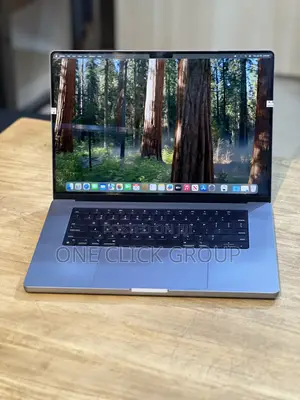 Apple MacBook Pro 2021 M1 Max 64GB Apple M1 Max SSHD (Hybrid) 512GB
