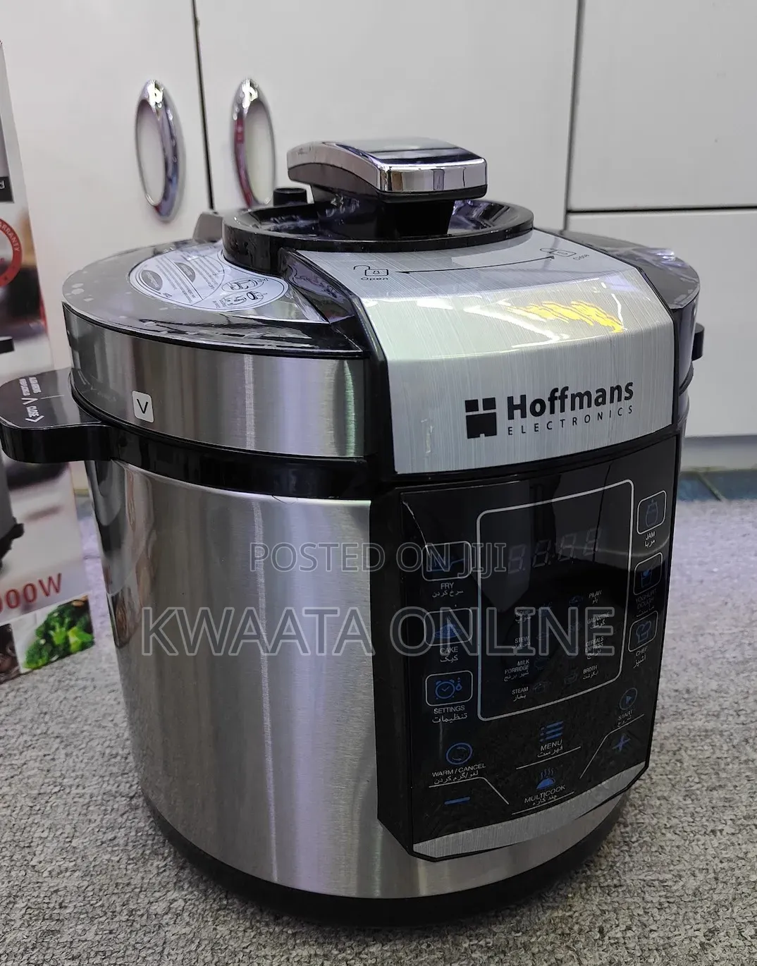 14in1 Hoffmans 6l Electric Pressure Cooker Deep Fryer With Basket, Pot
