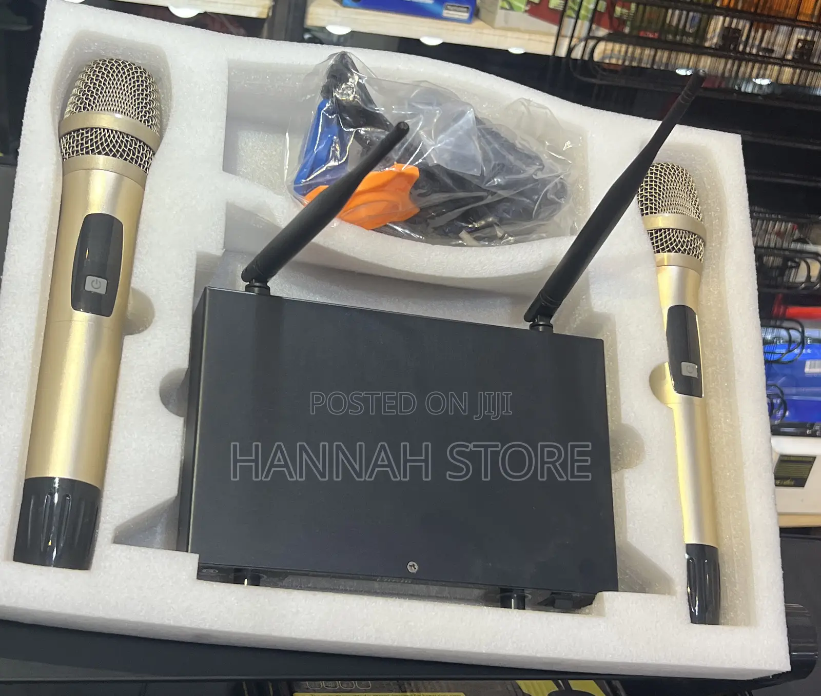 Professional Wireless Microphone