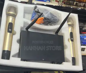 Professional Wireless Microphone