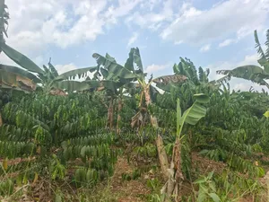 2 Acres for Sale Located at Nakifuma