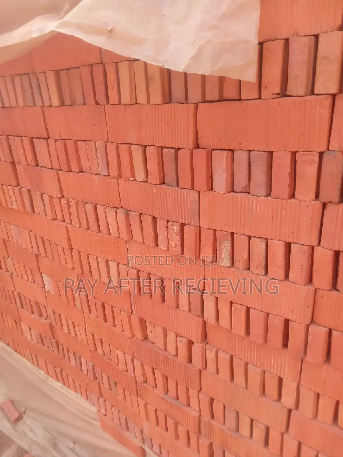 Facing Bricks Pure