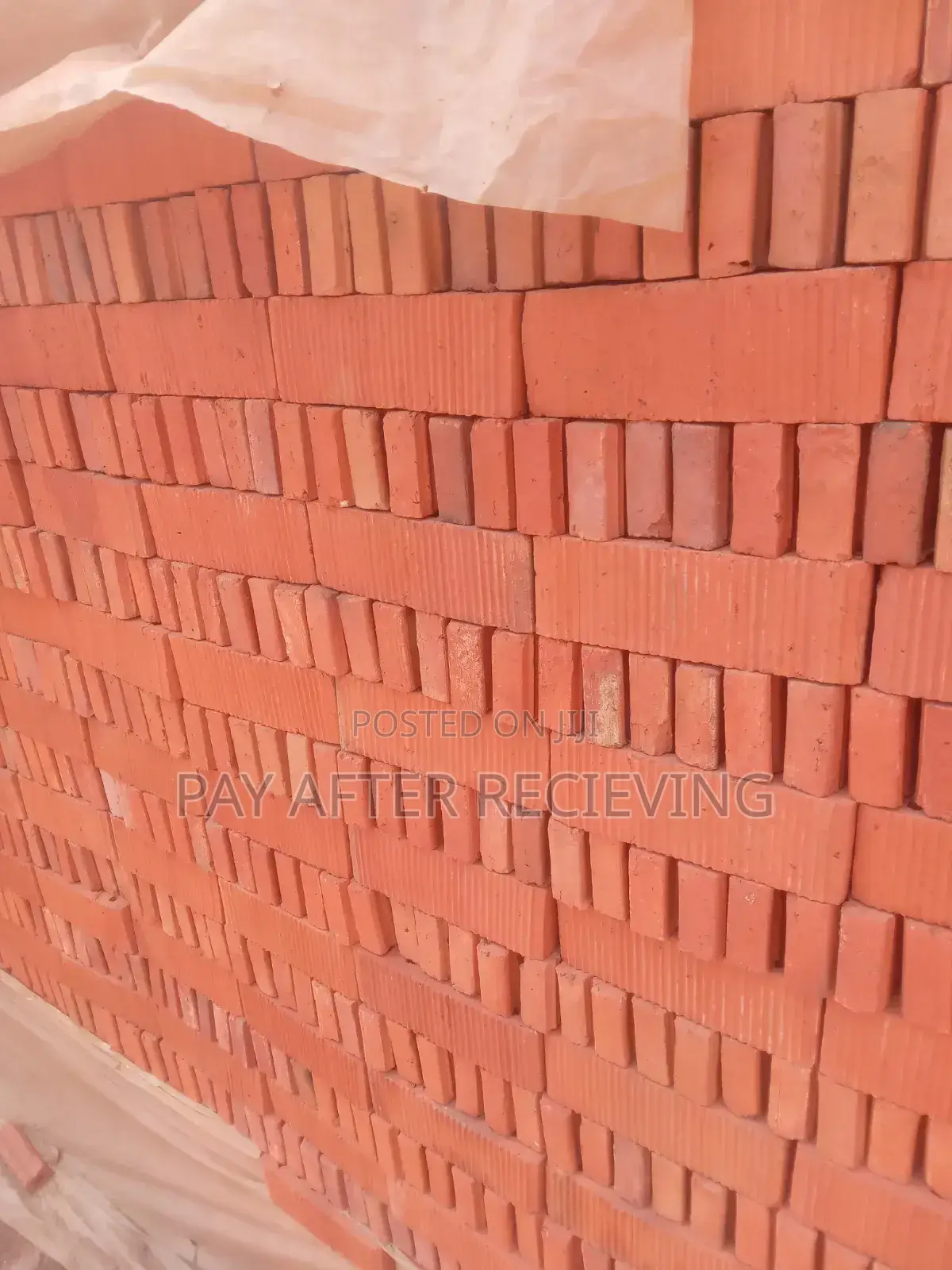 Facing Bricks Pure