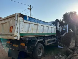 Atego Dump Truck