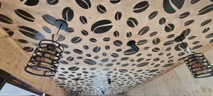 Wolden Ceiling Designs