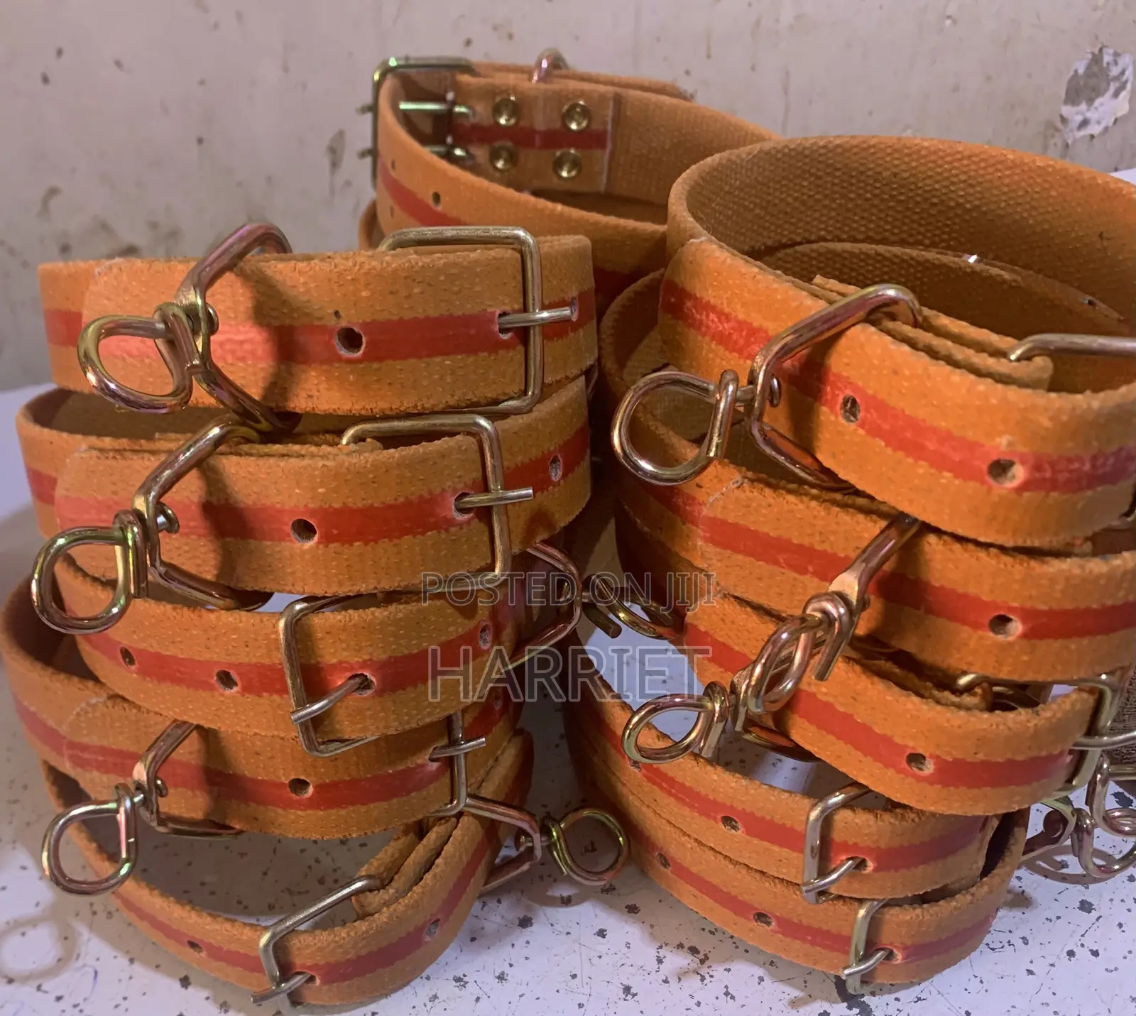 Dog Collar
