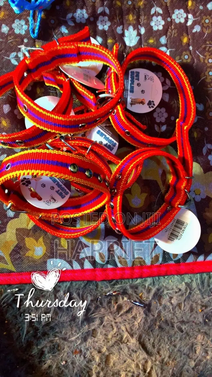 Dog Collar