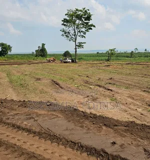 50*100ft Plots in Entebbe Buwaya Lake View Estate