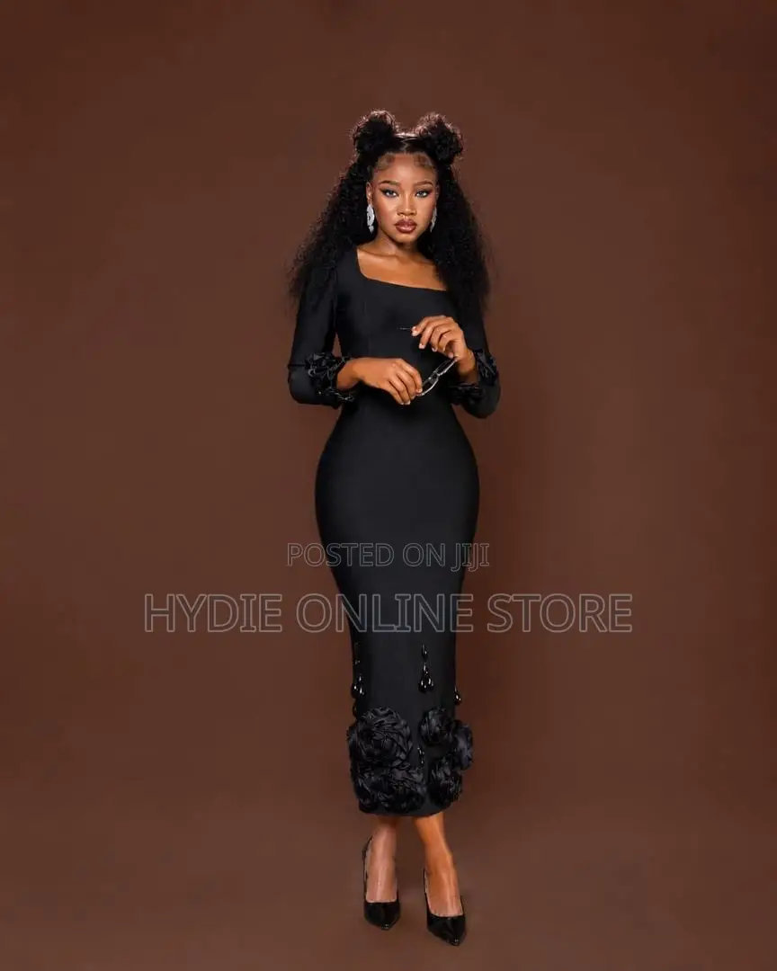 Long Sleeved Party Dress