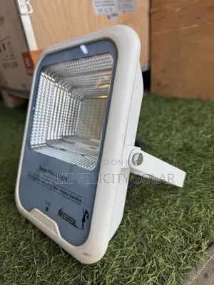 100w Floodlights