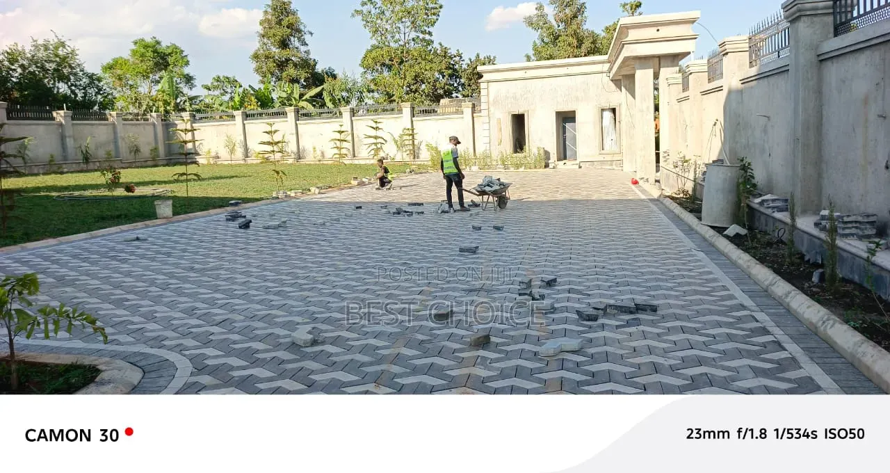 Expert Landscaping Services Sustainable Beauty for Your Property