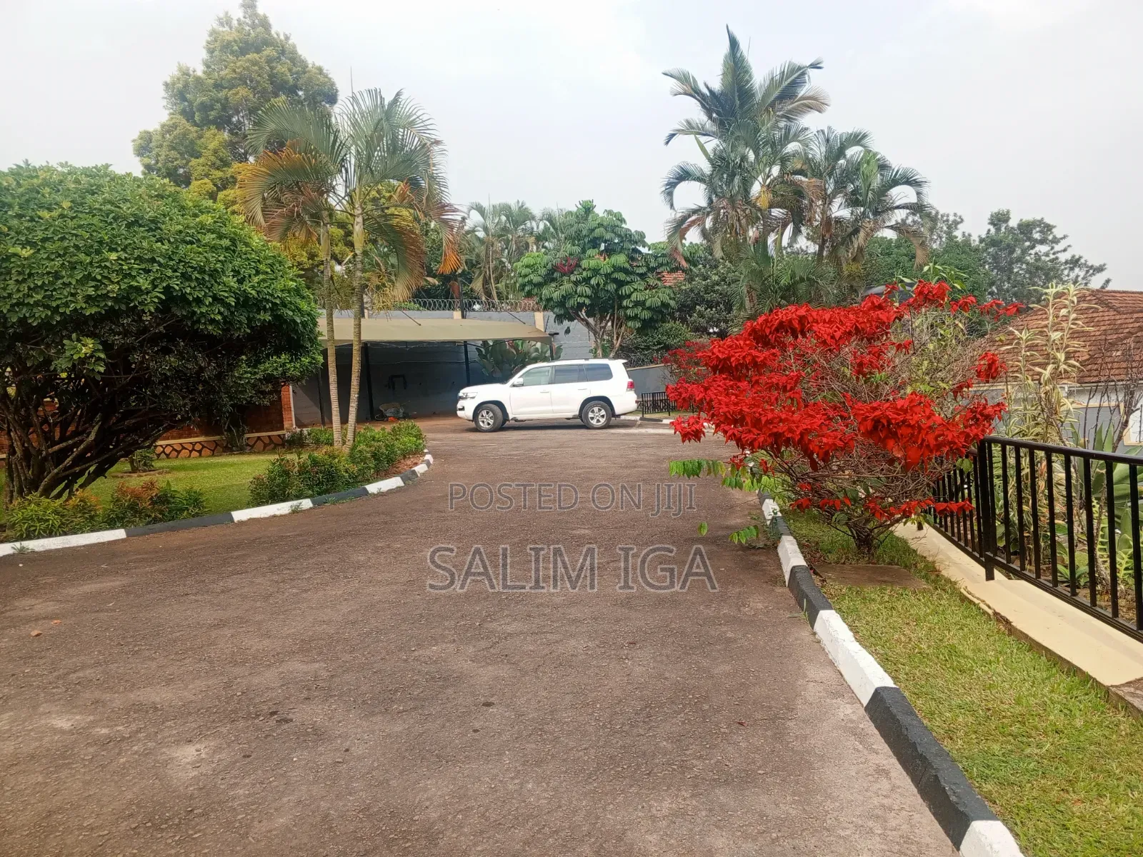 4bdrm Bungalow in Kololo Property, Central Division for rent