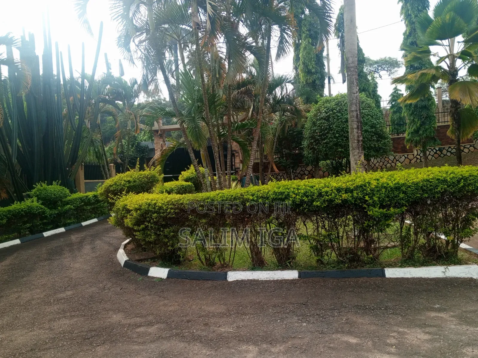 4bdrm Bungalow in Kololo Property, Central Division for rent