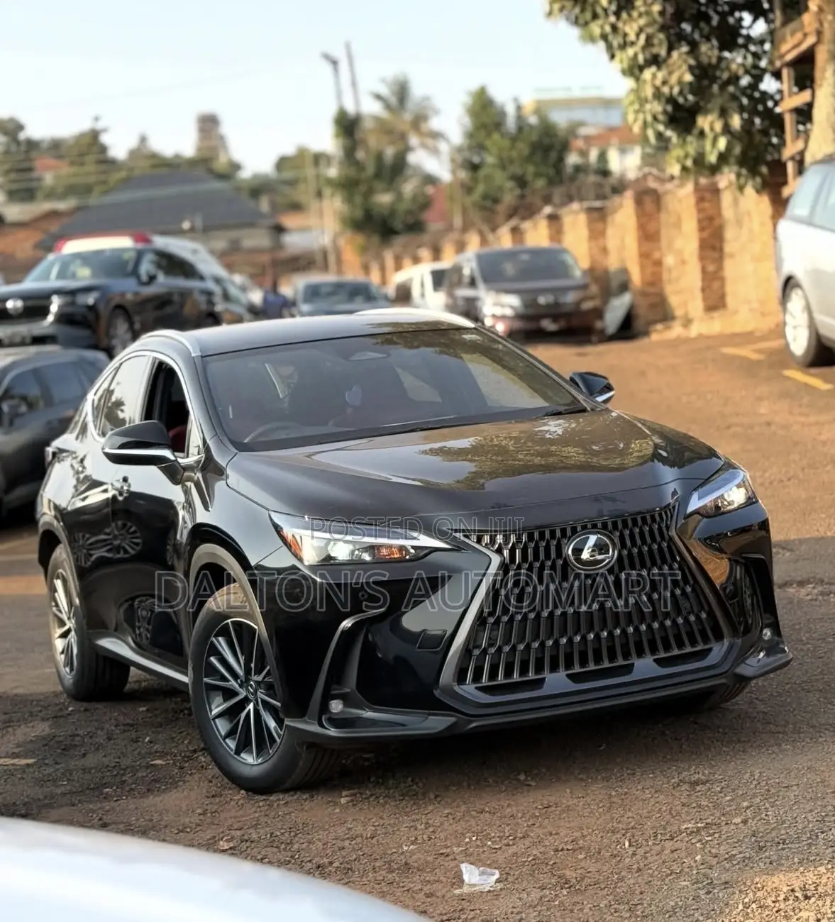 Lexus NX 350h AWD 2023 Black
