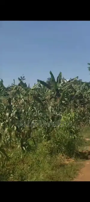 Land In Ntinda 54 Decimals
