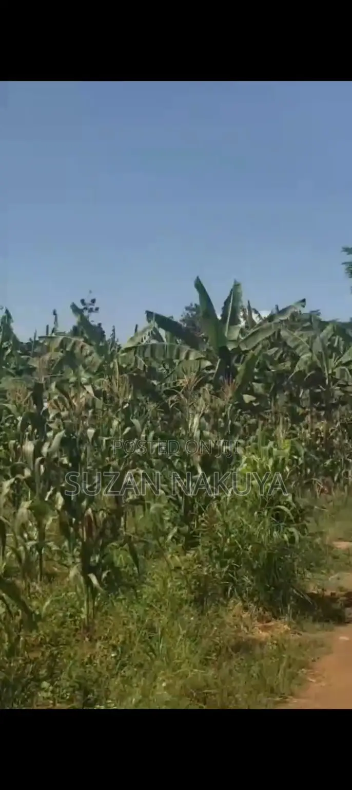 Land In Ntinda 54 Decimals
