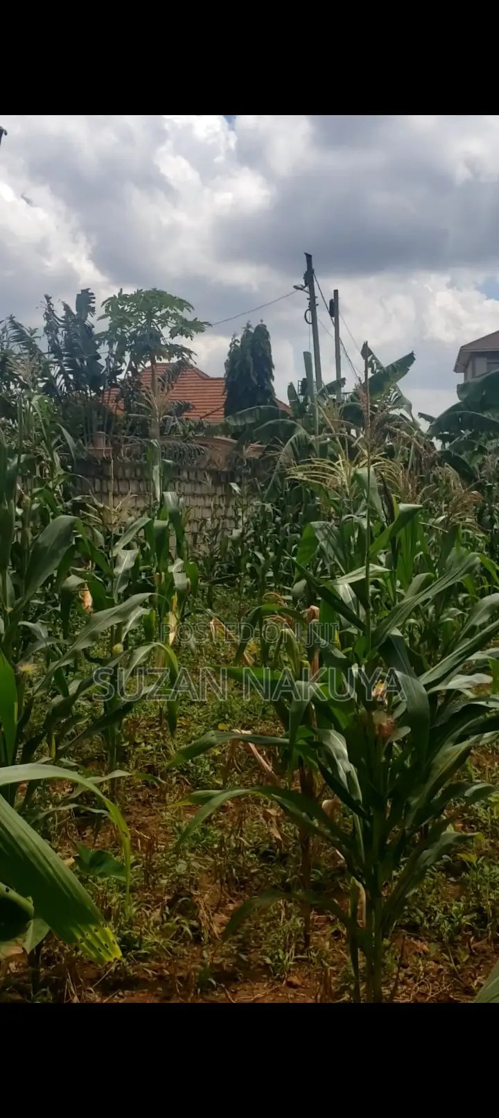 Land In Ntinda 54 Decimals