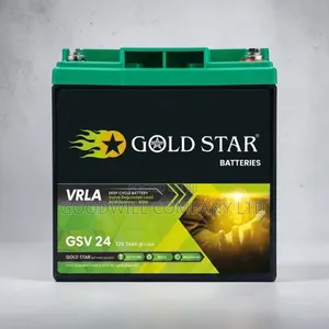 24ah Interstellar Gold Star Battery