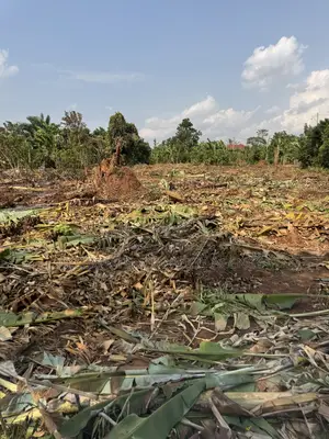 New Nakifuma-kakinzi Estate 50*50ft And 50*100 Plots Kabaka Land