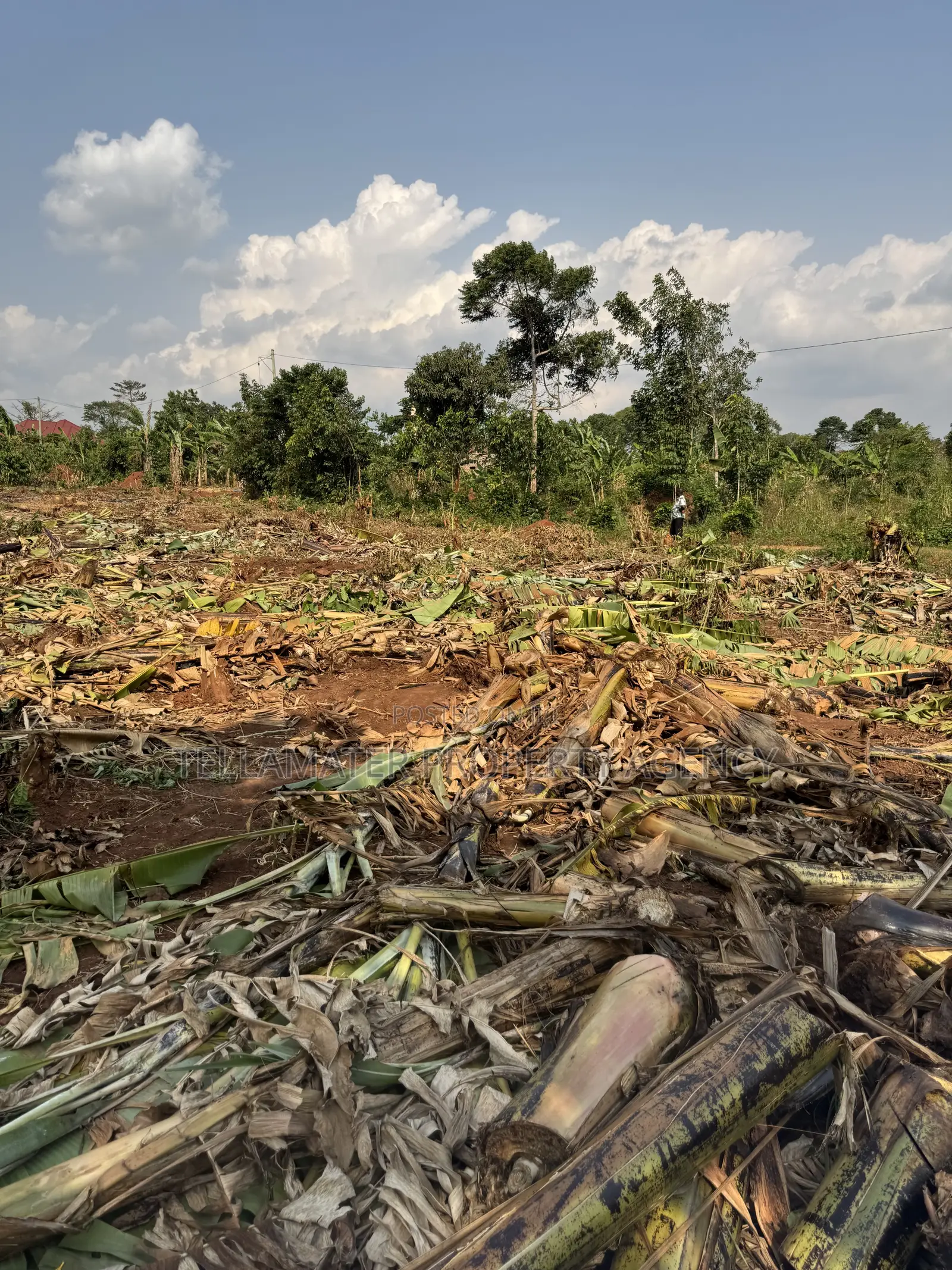 New Nakifuma-kakinzi Estate 50*50ft And 50*100 Plots Kabaka Land