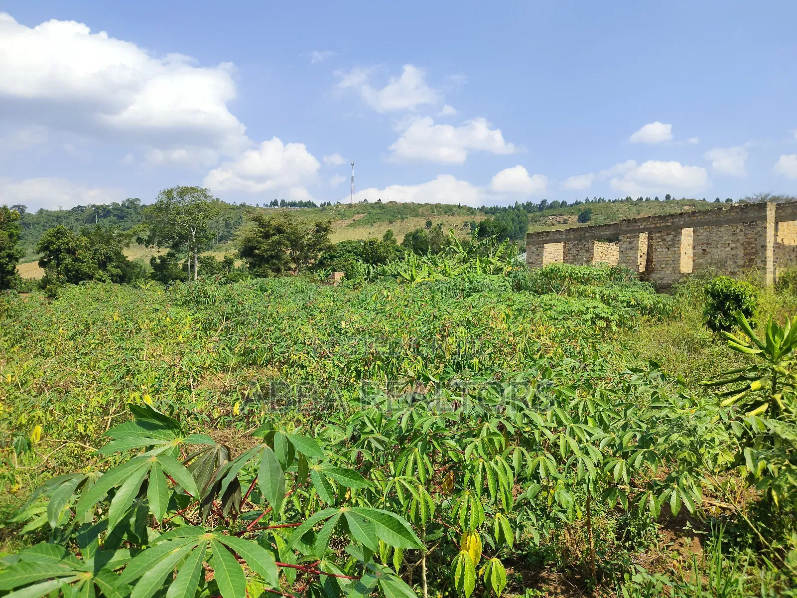 100*100ft Plot in Kakiri-Kikandwa