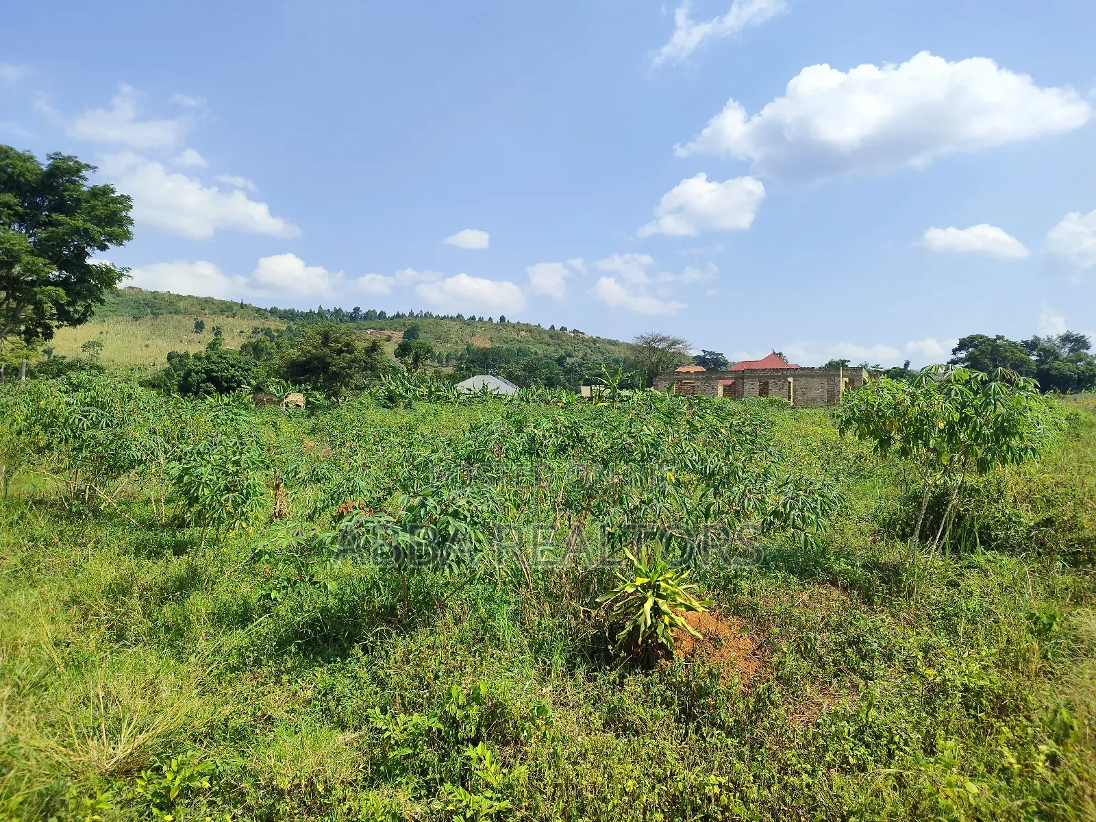 100*100ft Plot in Kakiri-Kikandwa