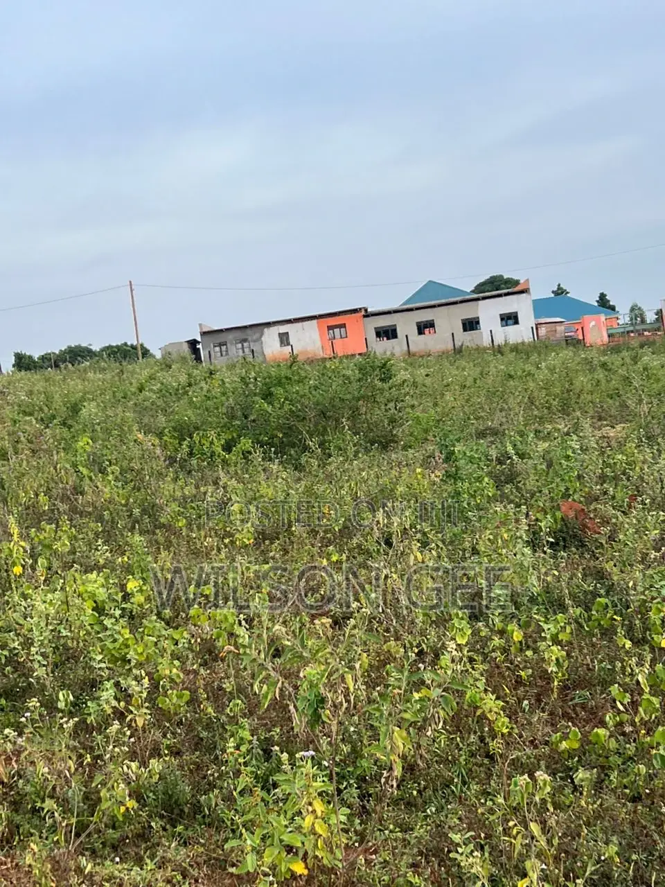 Titled Land in Jinja City