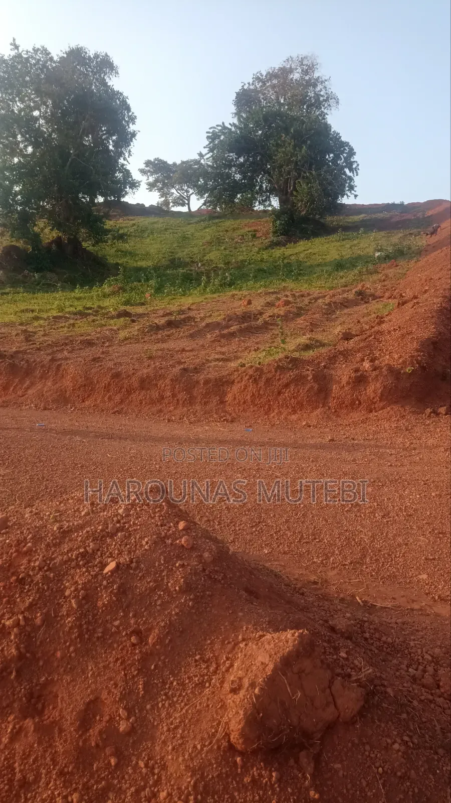 Land for Sale