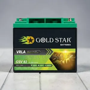 40ah Interstellar Gold Star Battery