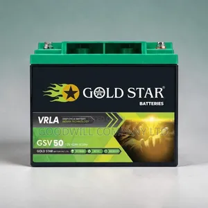 50ah Interstellar Gold Star Battery