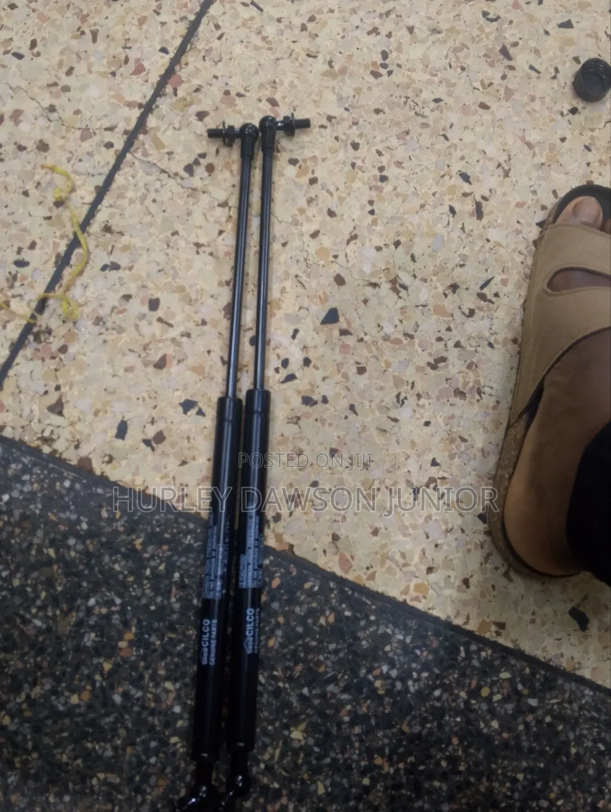 Hood (Bornate)Shocks or Struts