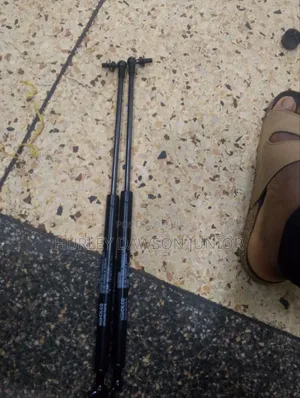 Hood (Bornate)Shocks or Struts