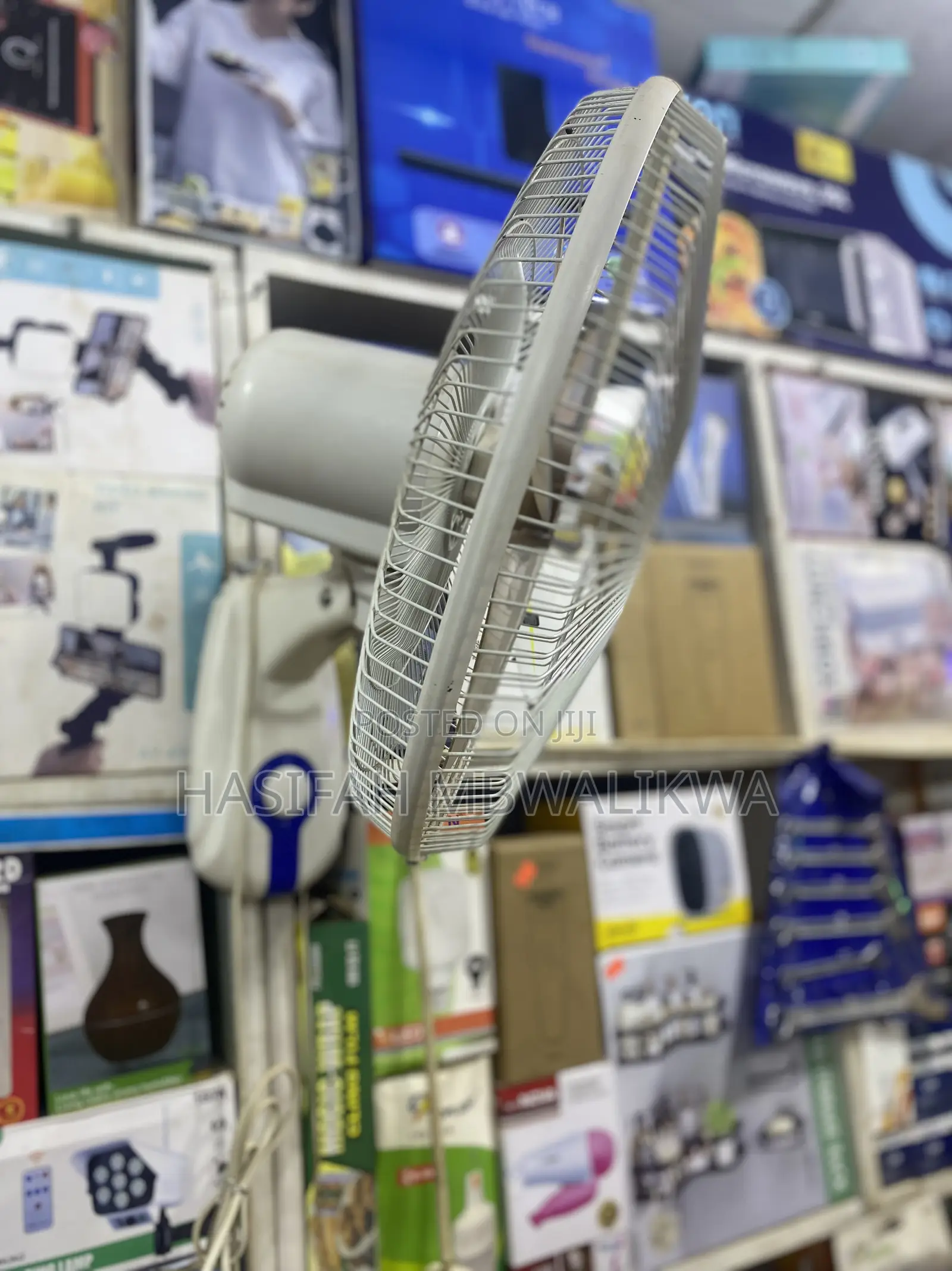 Changli Crown Wall Fan