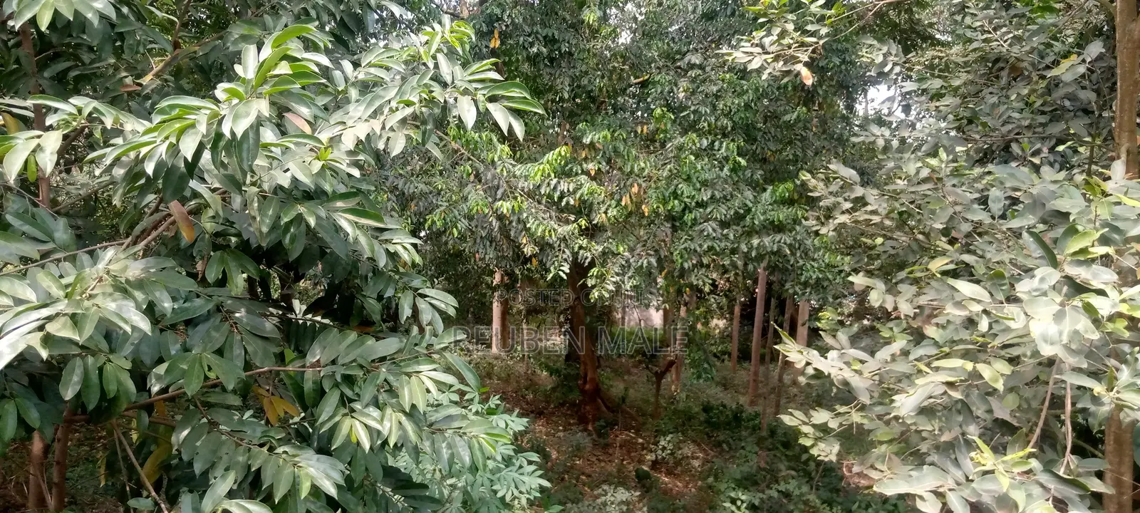Land on Sale at Kitetika