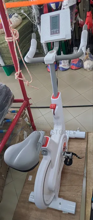 Indoor Smart Magnetic Exercise Bike