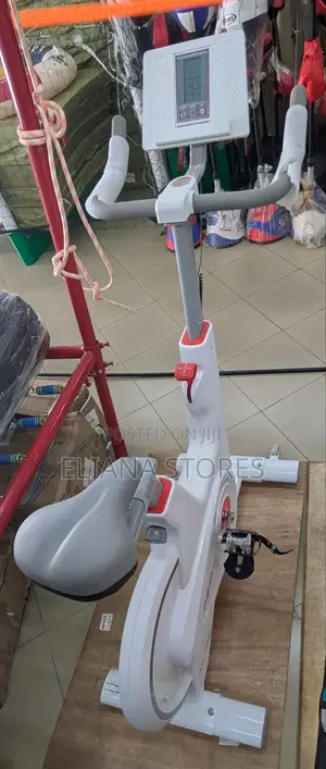 Indoor Smart Magnetic Exercise Bike