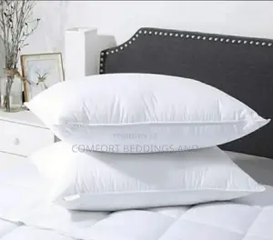 Standard Pair Fibre Pillows