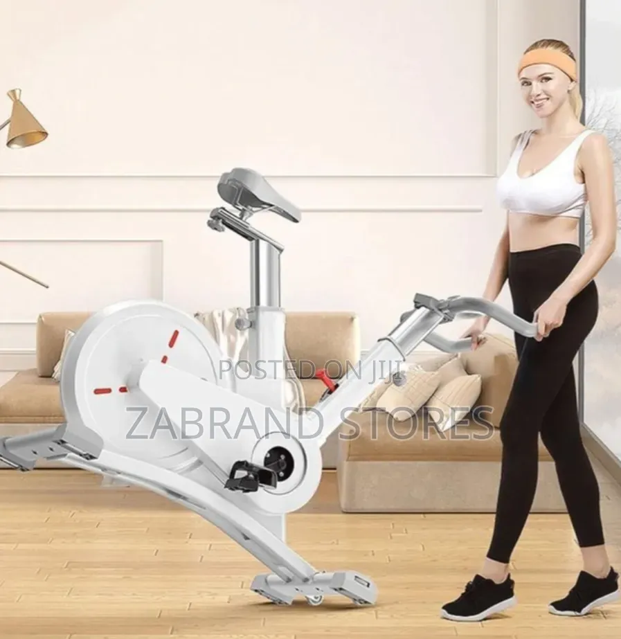 Indoor Smart Magnetic Exercise Bike