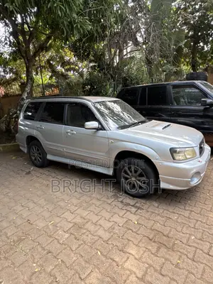 Subaru Forester Automatic 2003 Silver