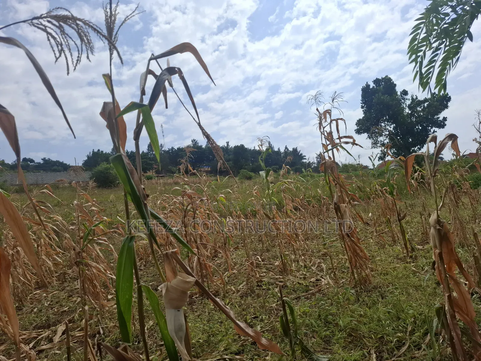 4acres for Sale