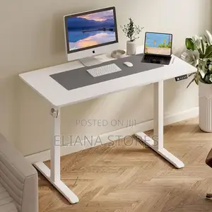 Adjustable 3-Stage Dual Motor Electric Standing Desk