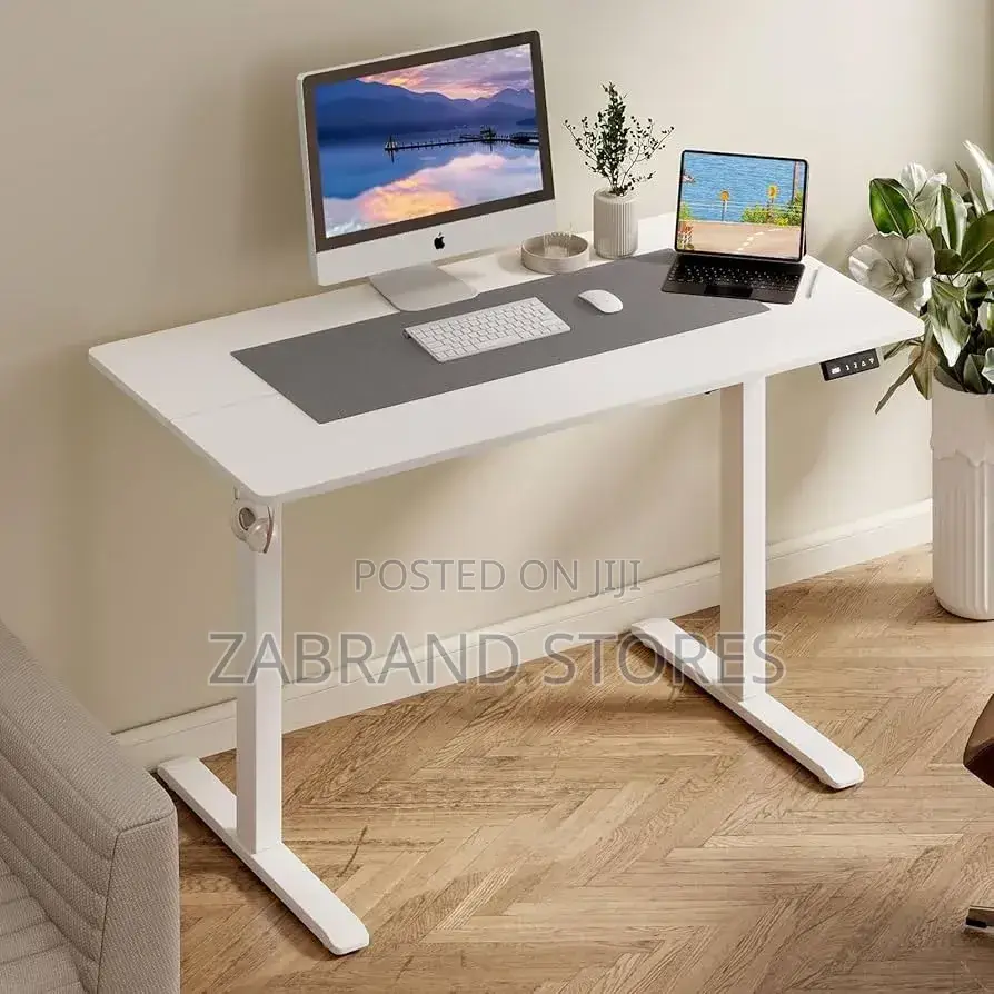 Adjustable 3-Stage Dual Motor Electric Standing Desk