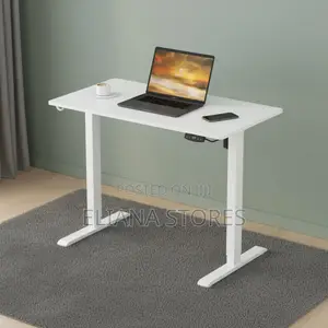 Adjustable 3-Stage Dual Motor Electric Standing Desk