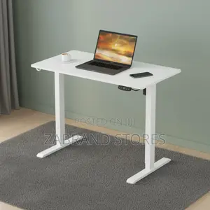 Adjustable 3-Stage Dual Motor Electric Standing Desk