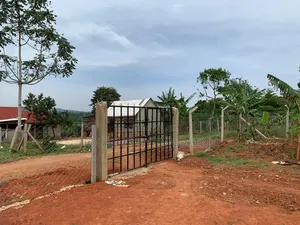 Two Titled Plots for Sale Both at 60m in Matugga