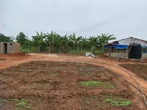 Two Titled Plots for Sale Both at 60m in Matugga