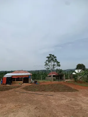 Two Titled Plots for Sale Both at 60m in Matugga