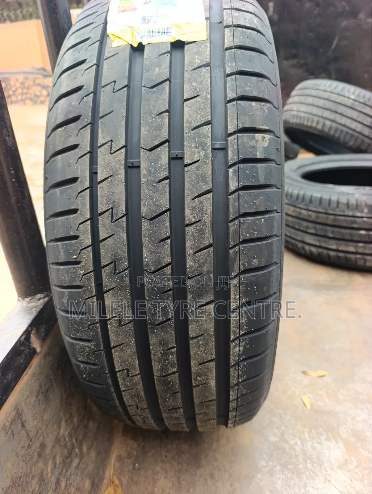 255/55r19 Atlander