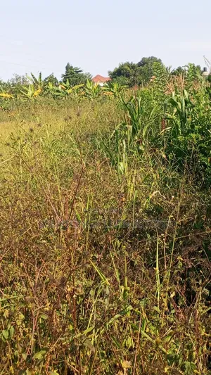 Plots For Sale On Mityana Road